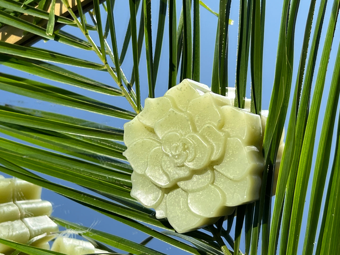 Aloe Vera Succulent Soap