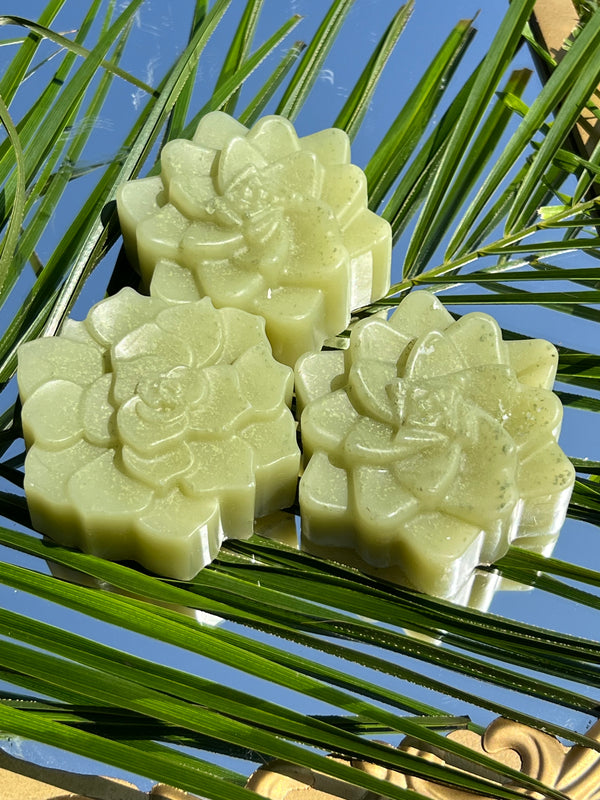 Aloe Vera Succulent Soap